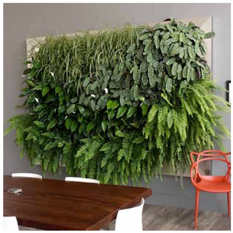 MODULOGREEN MUR VEGETAL 30X24CM SANS SUBSTRAT