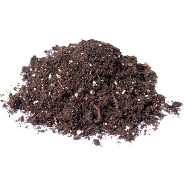 PALETTE DE 60 PLATINIUM ROYAL MIX 40L