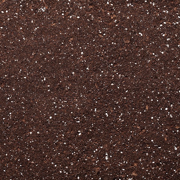 PALETTE DE 60 GOLD LABEL SPECIAL MIX 40L