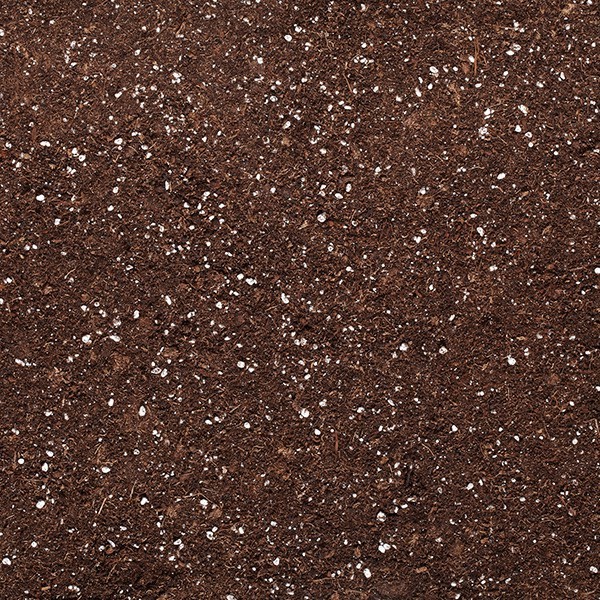 PALETTE DE 60 GOLD LABEL SPECIAL LIGHT MIX 40L