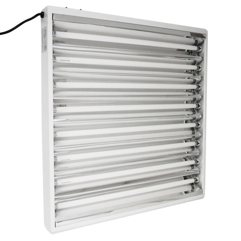 T5 2X8 192W Groei