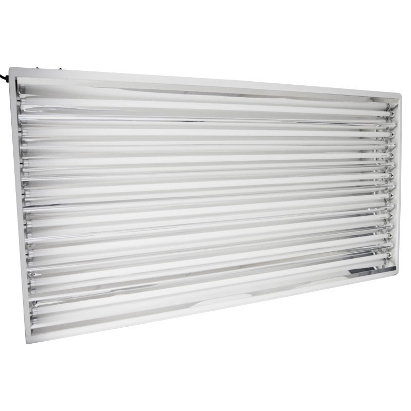 T5 8X4 432 W Groei