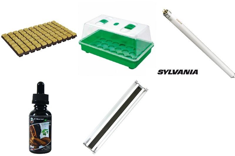 Roots-Kit 1 , pack keimung , Aussaat , Stecklinge