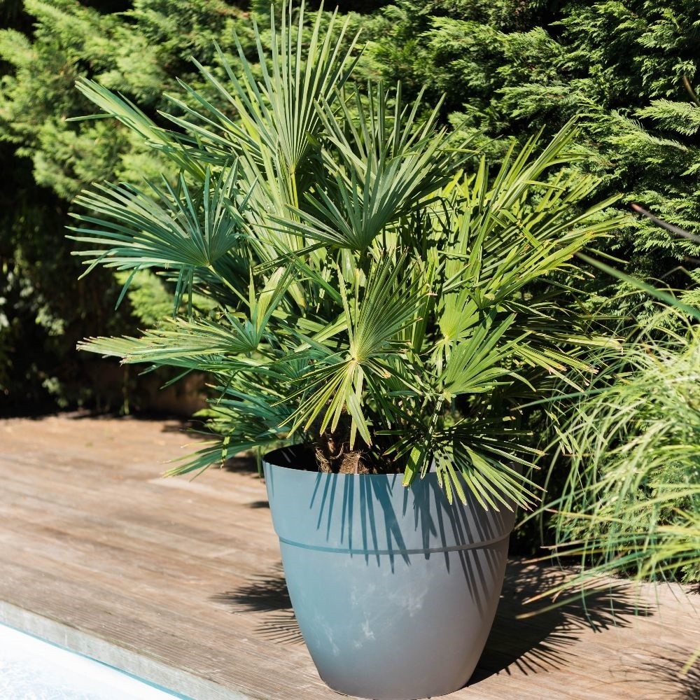 13564 G.ANT POT CANCUN 50CM GRIS ANTH 56.8L