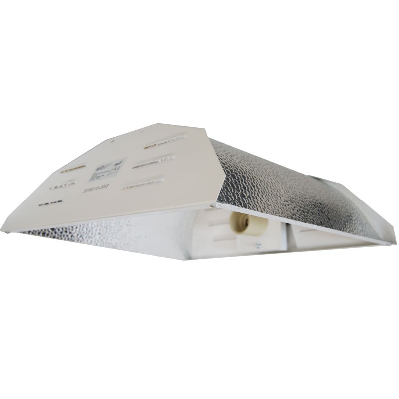 Superplant - Eagles reflector - CMH