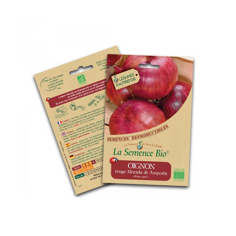 La Semence Bio - Red onion morada de amposta