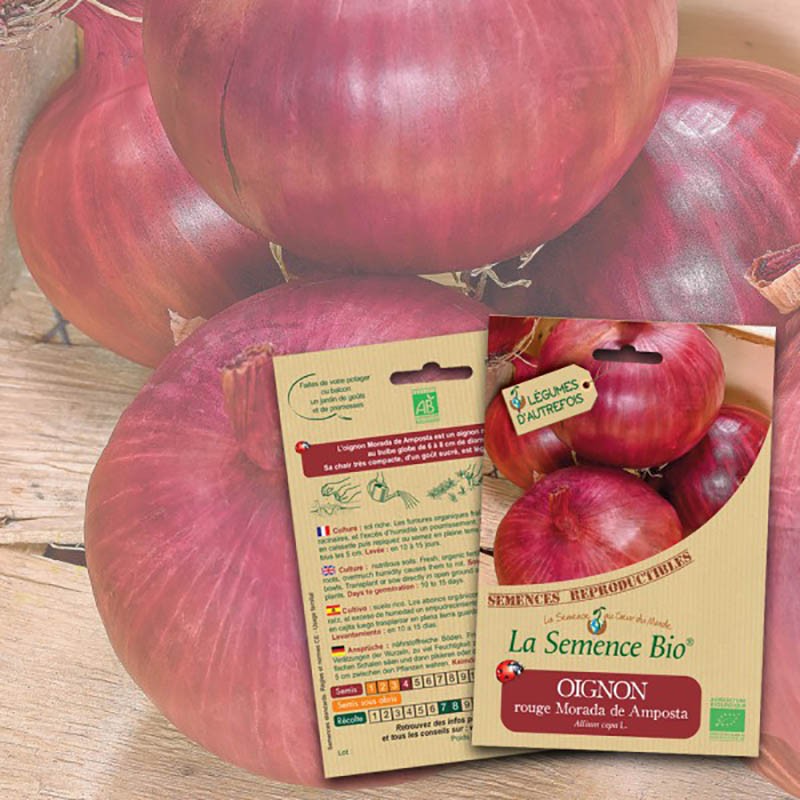 GRAINES BIO - OIGNON ROUGE MORADA DE AMPOSTA