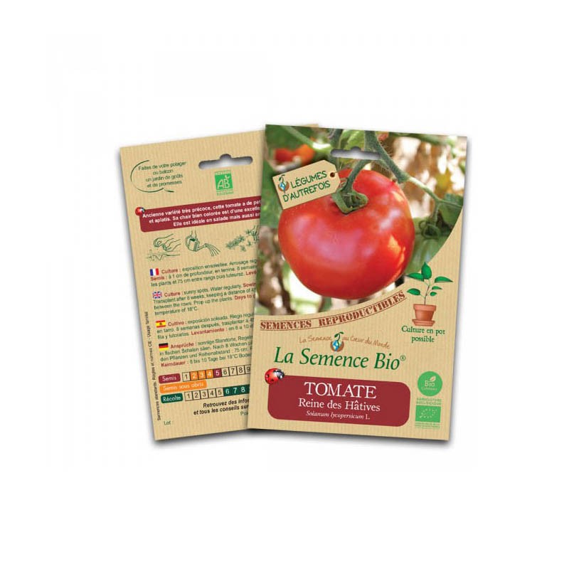 Bio-Saatgut - Tomate als Königin der Hative