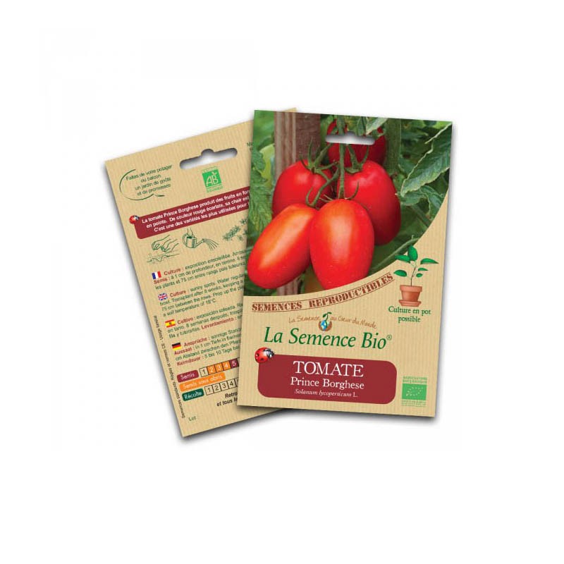 Organic seed - Prince Borghese tomato