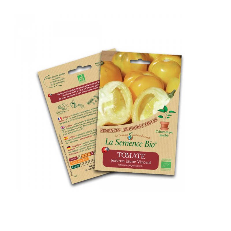 La semence Bio - Yellow bell pepper tomato vincent