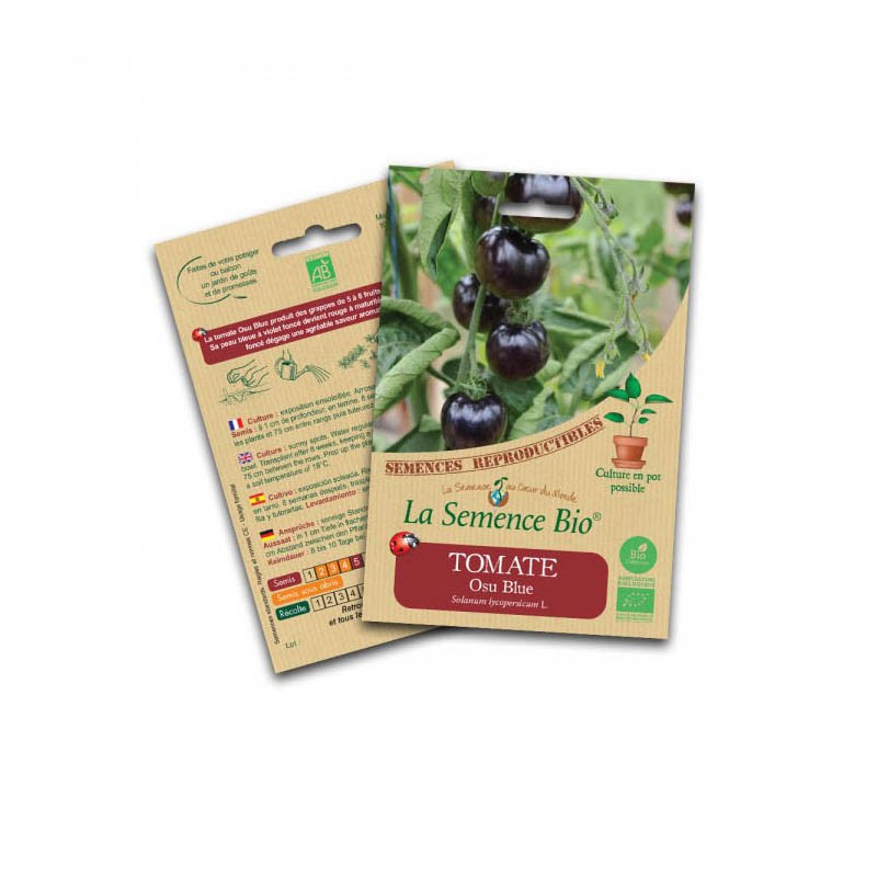 Bio-Saatgut - Tomate osu blue