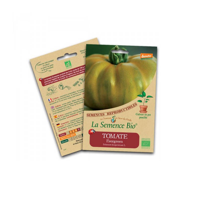 Semi biologici - Pomodoro sempreverde
