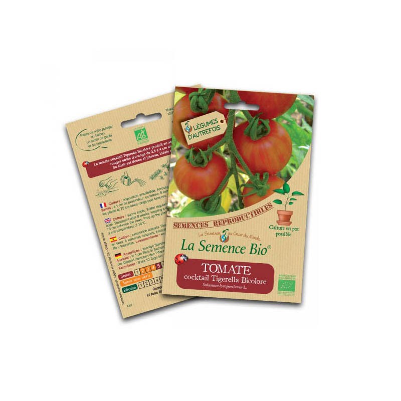 Bio-Saatgut - Cocktail-Tomate tigerella zweifarbig