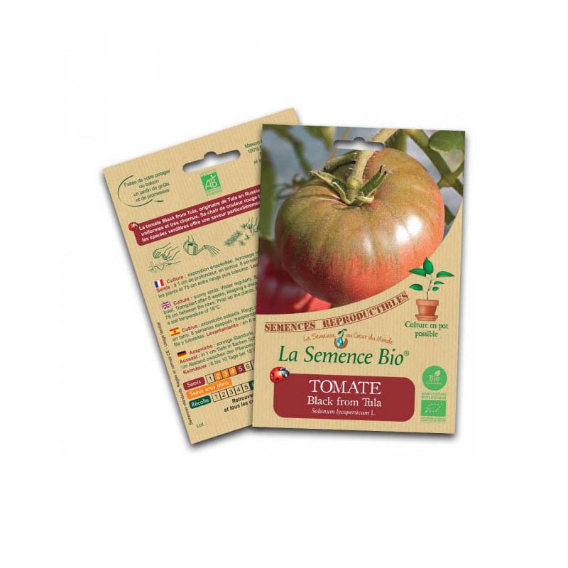 Bio-Saatgut - Schwarze Tomate aus Tula