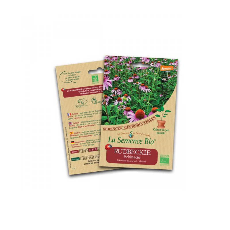Organic seed - Rudbeckia Echinacea