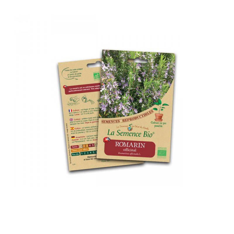 Bio-Samen - Rosmarin officinalis