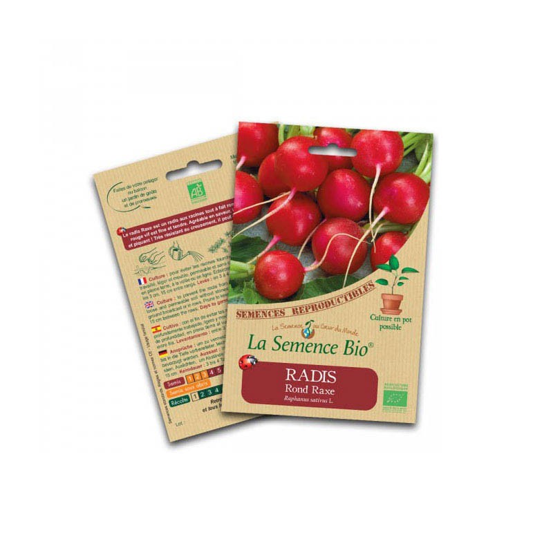 Organic seed - Radish