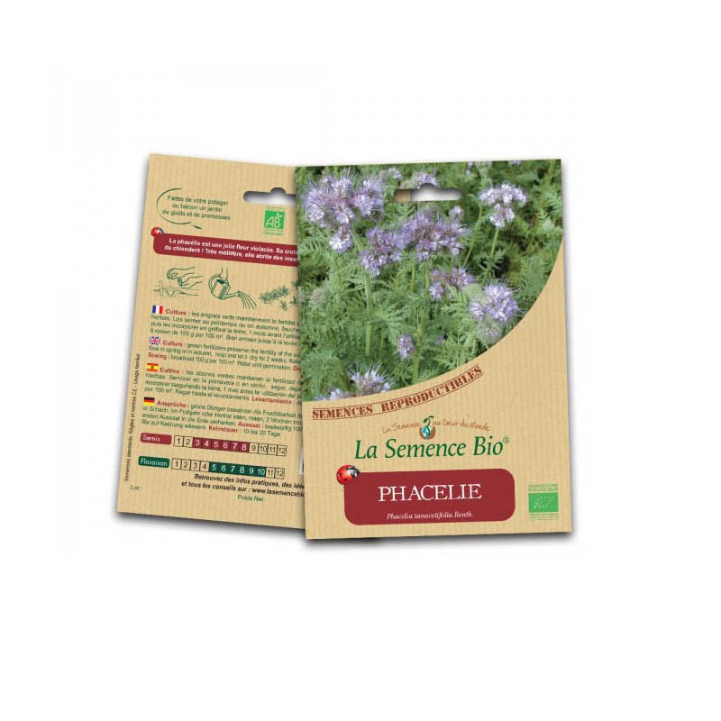 Bio-Saatgut - Phacelia