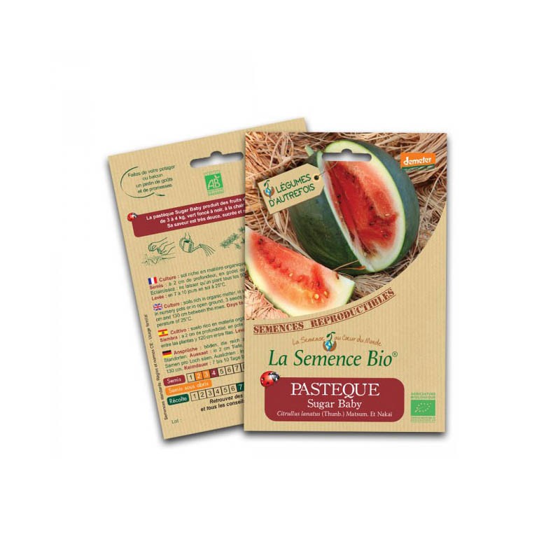 Organic seed - Watermelon sugar baby