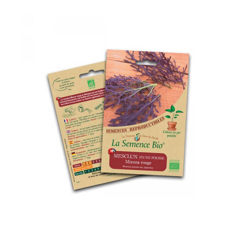 La semence Bio - Mesclun young shoot red mizuna