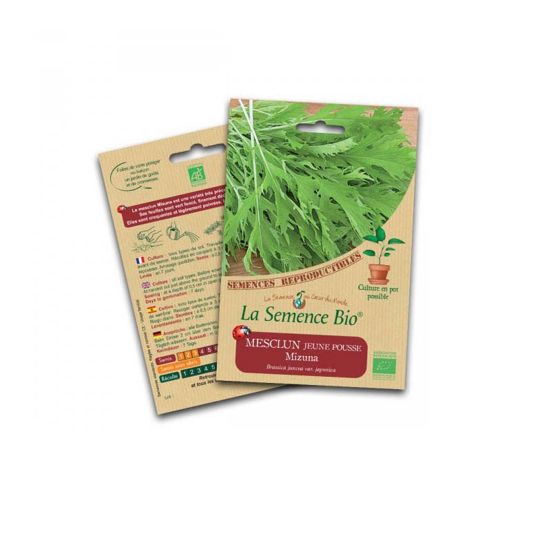 Biologisch zaad - Mesclun jonge scheut mizuna