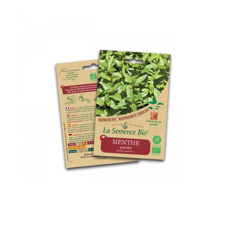 Sementes orgânicas - Hortelã-pimenta