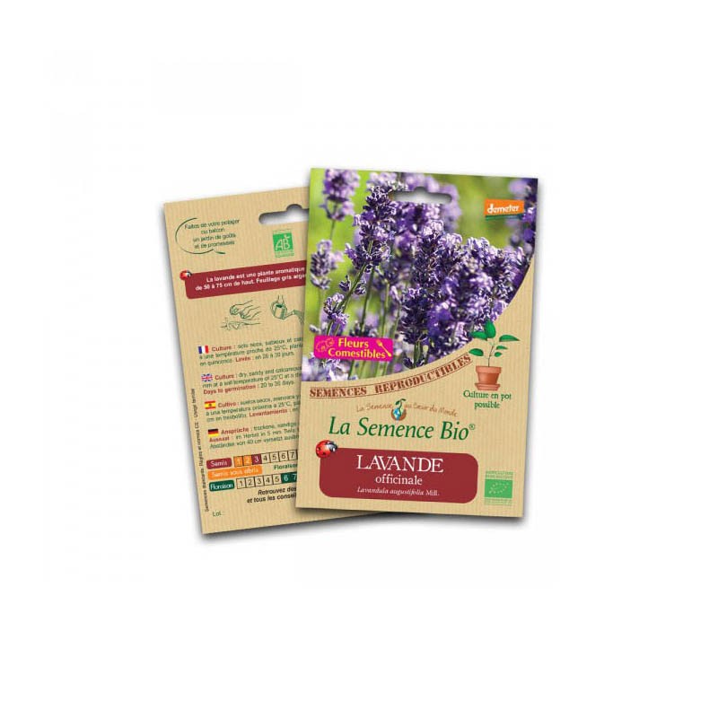 La semence Bio - Lavande officinale