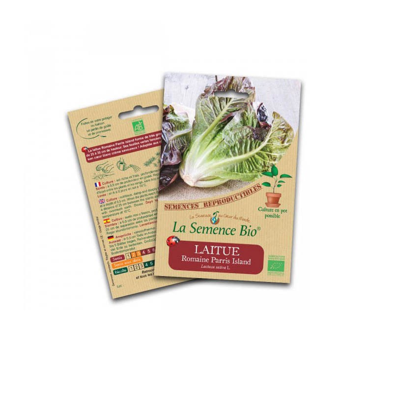 Semillas ecológicas - Lechuga romana parris island