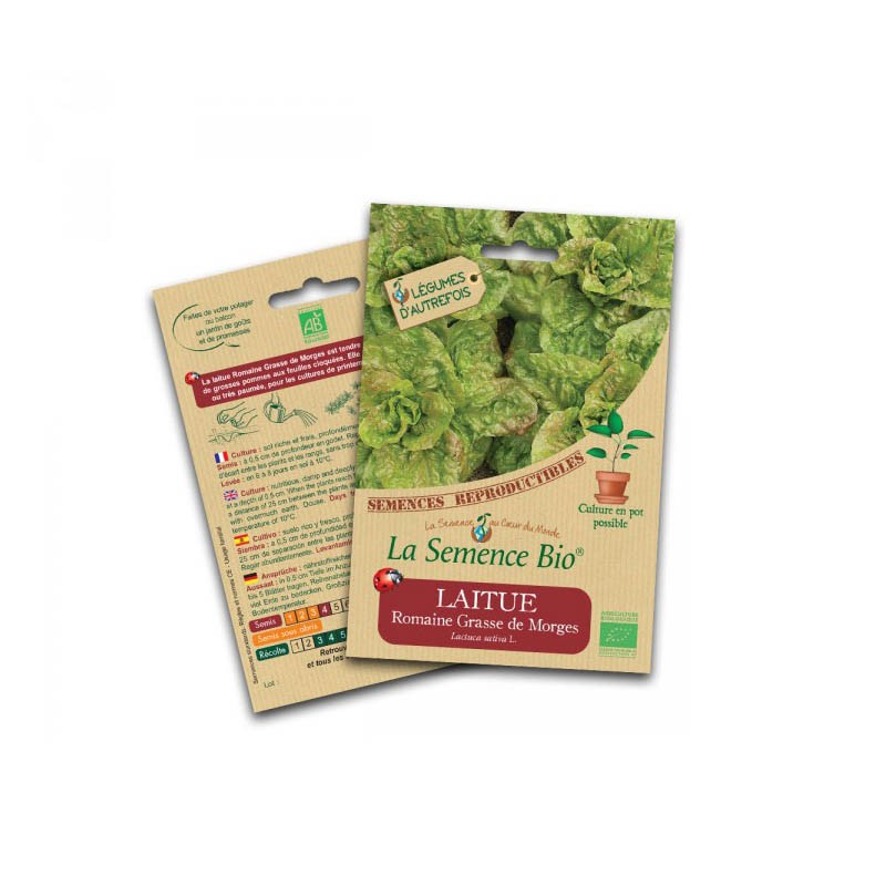 La semence Bio - Römersalat fettig von morges