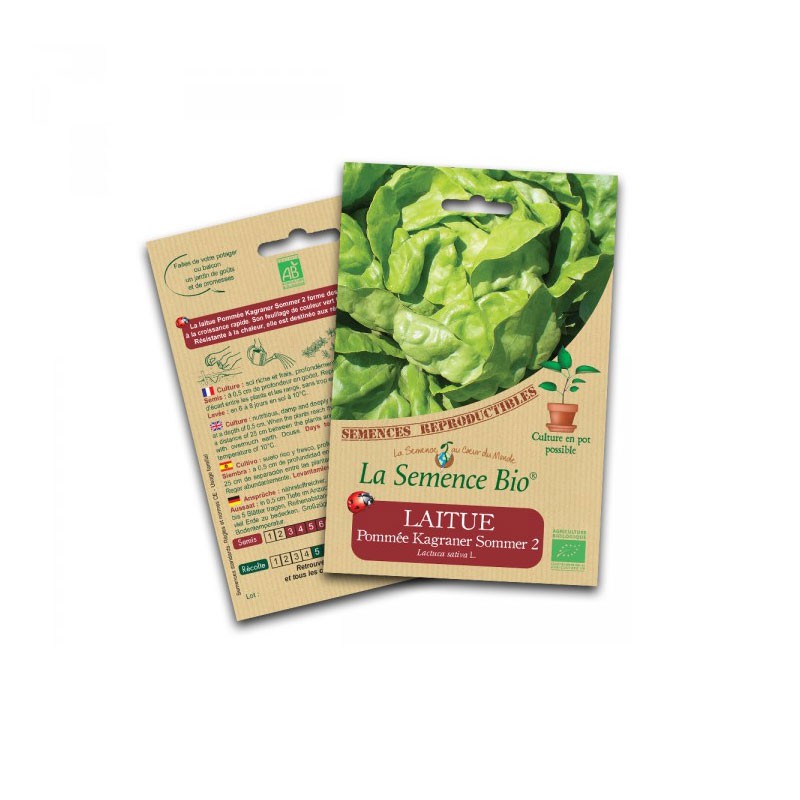Semillas ecológicas - Lechuga kagraner sommer 2
