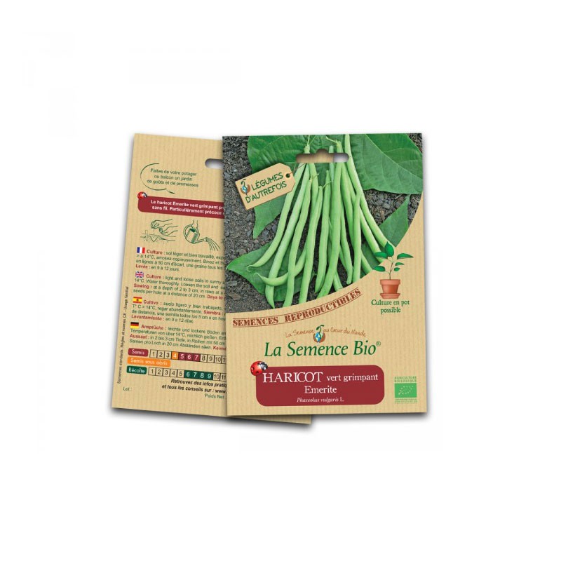Semi biologici - Fagiolo verde rampicante emerito