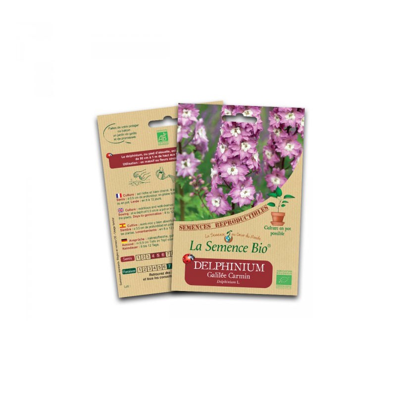 Organic seed - Delphinium galilee carmine