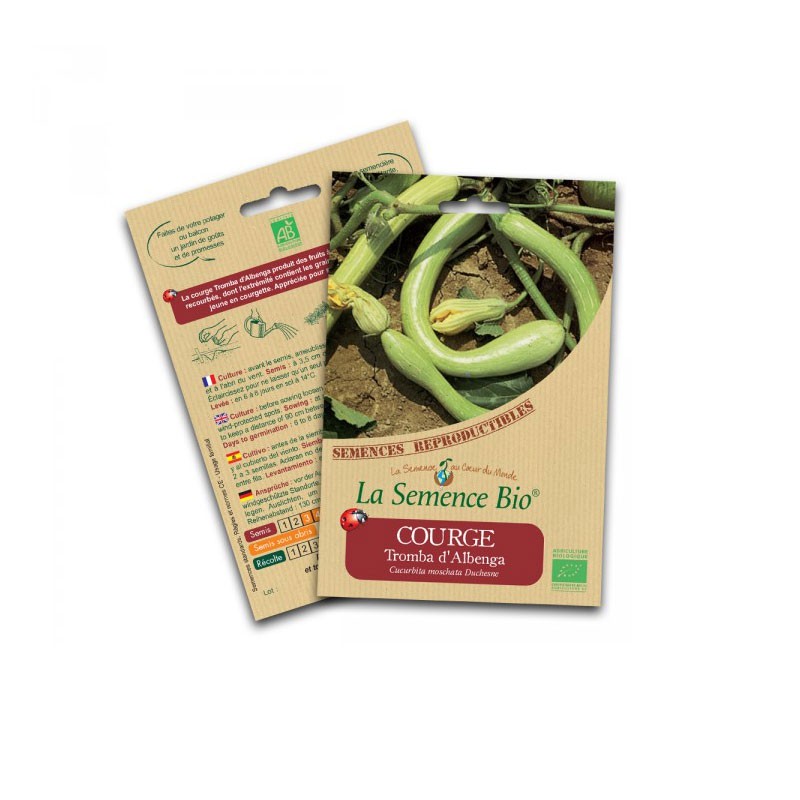 Organic seed - Tromba d'albenga squash
