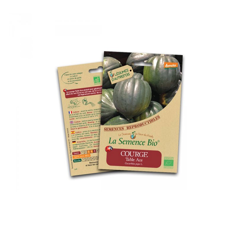 Organic seed - Table squash ace