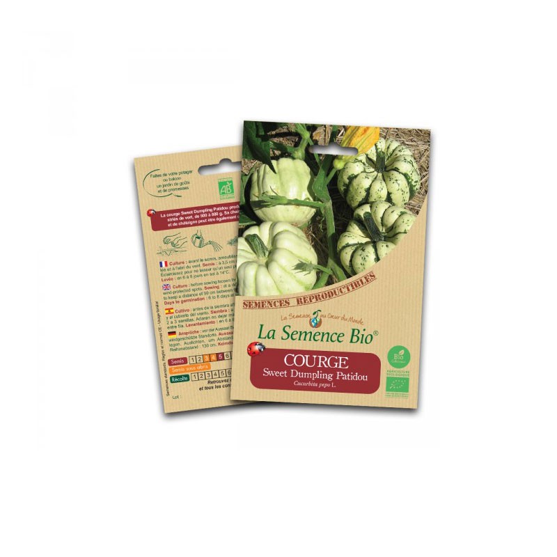 Organic seed - Sweet dumpling patidou