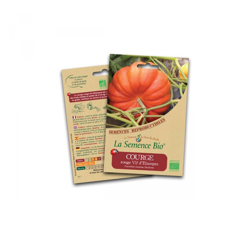 Semi biologici - Zucca rossa brillante