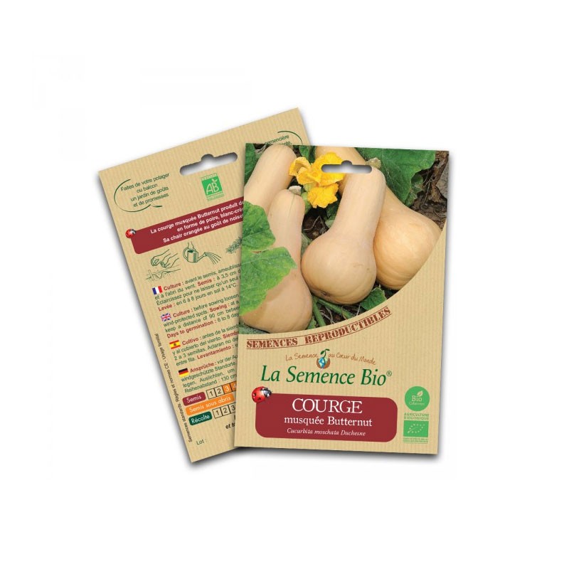 Organic seed - Butternut squash