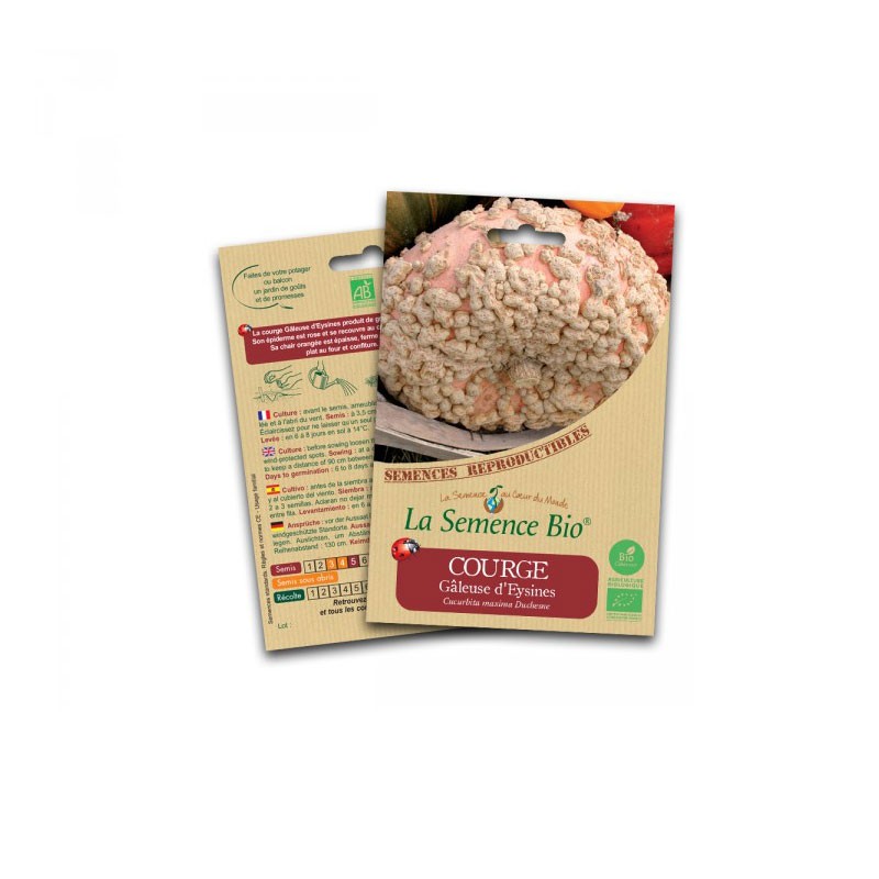 La semence Bio - Scabby squash from eysines