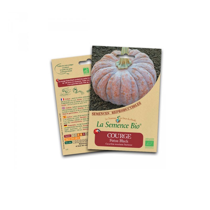 Organic seed - Futsu black squash