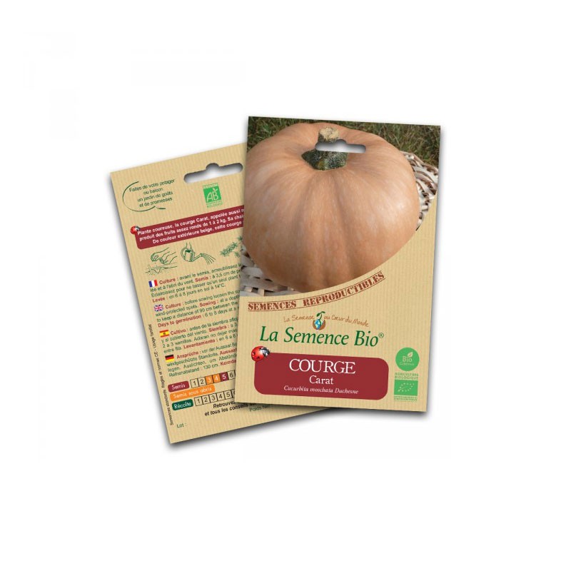 Semillas ecológicas - Calabaza de quilates