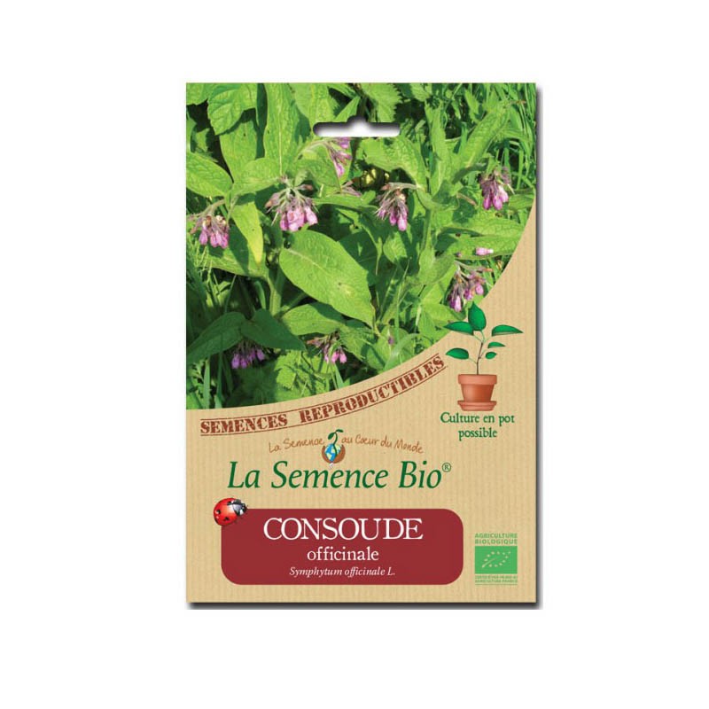 Semi biologici - Comfrey