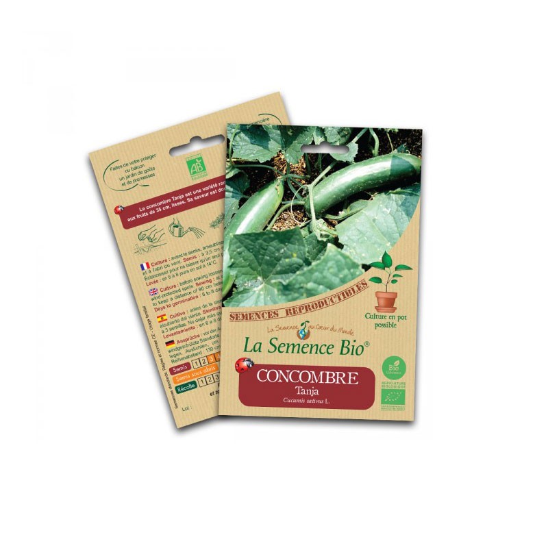 Organic seed - Tanja cucumber