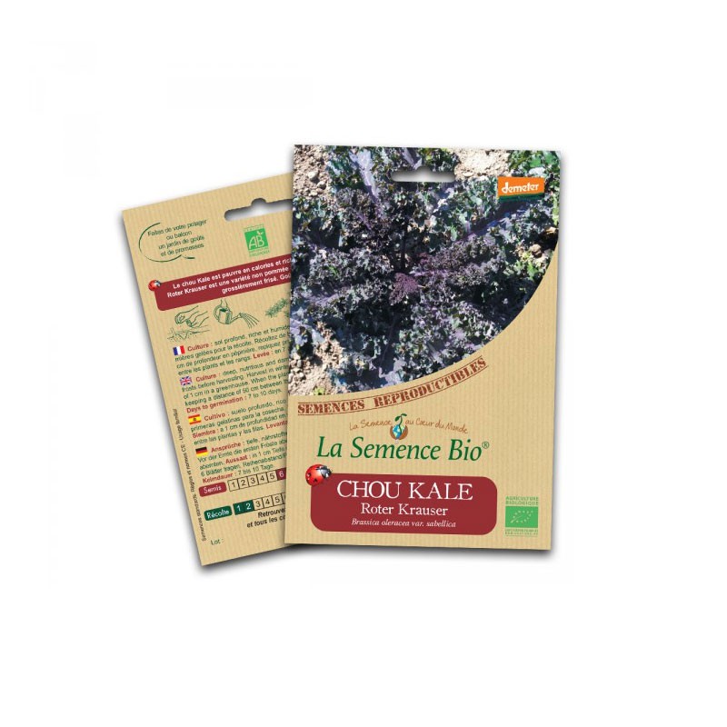 Sementes orgânicas - Kale roter krauser