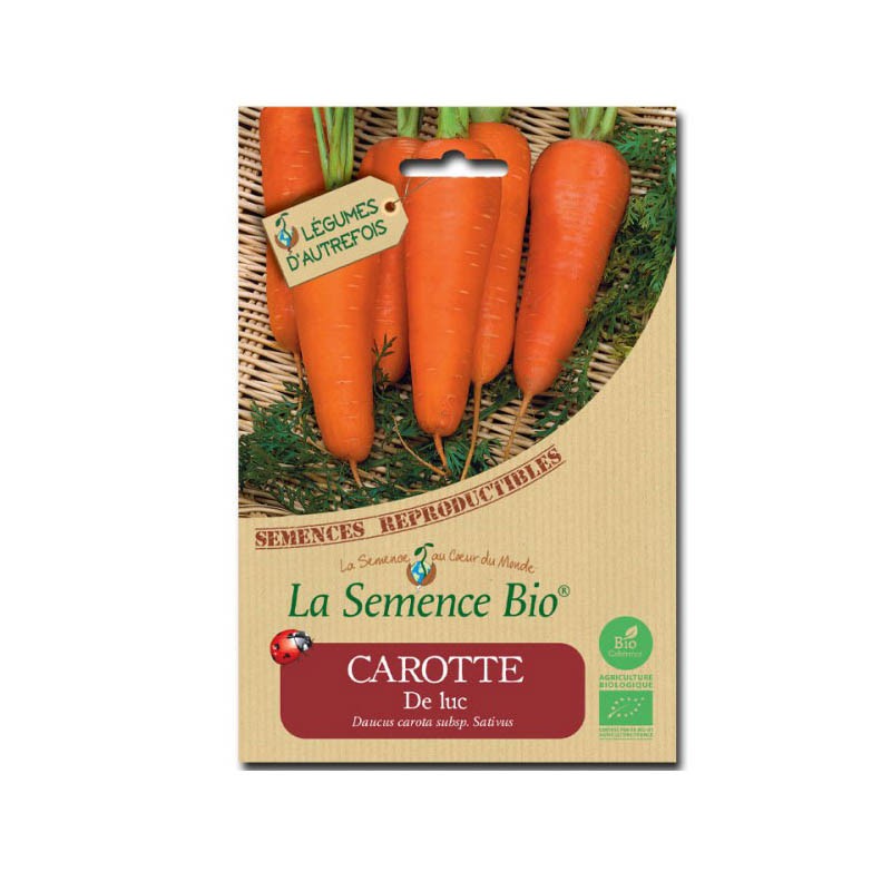Semi biologici - Carota Luc