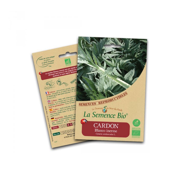 Organic seed - Carbon blanco inerme