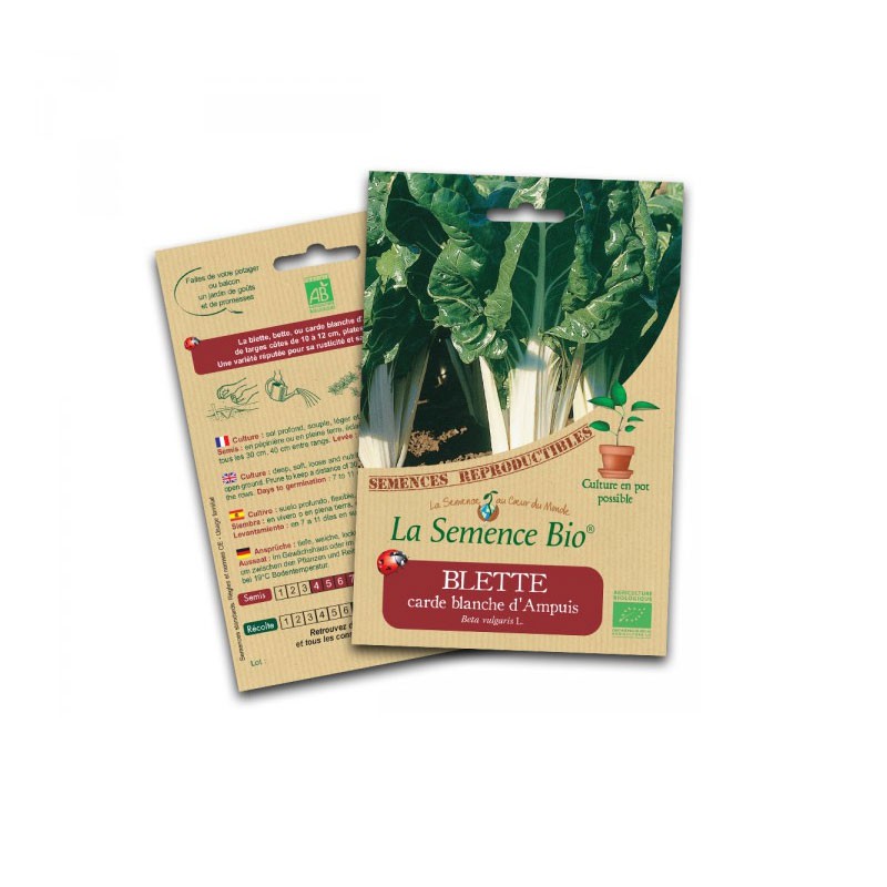 Organic seed - White chard from ampuis