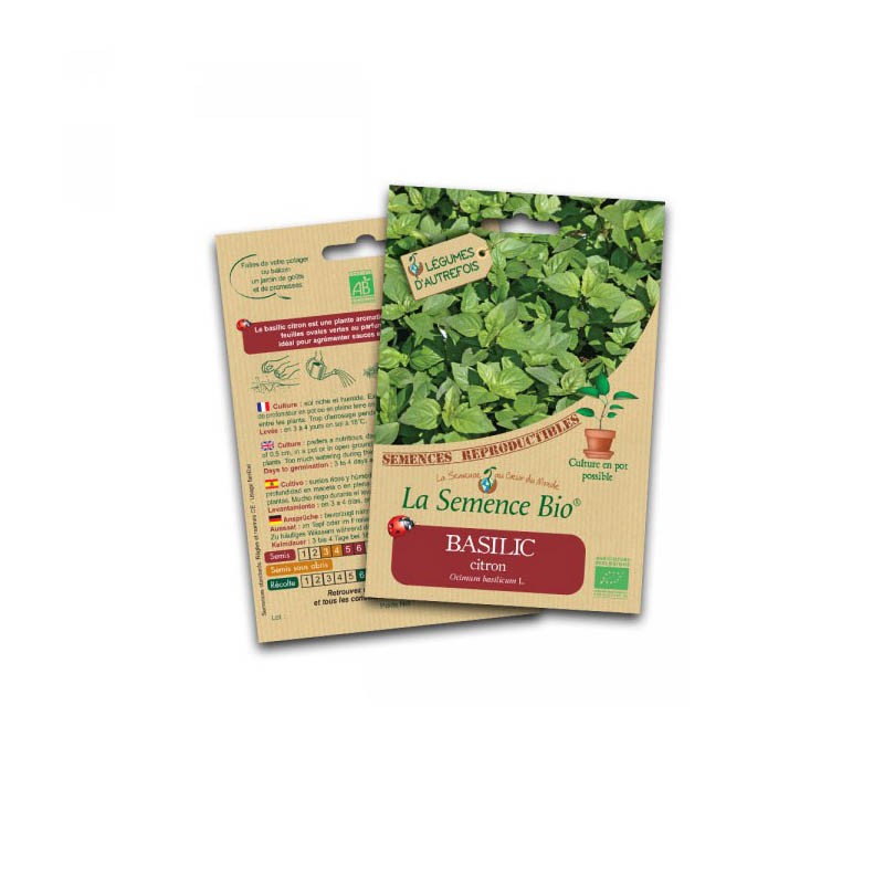 La semence Bio - Lemon Basil
