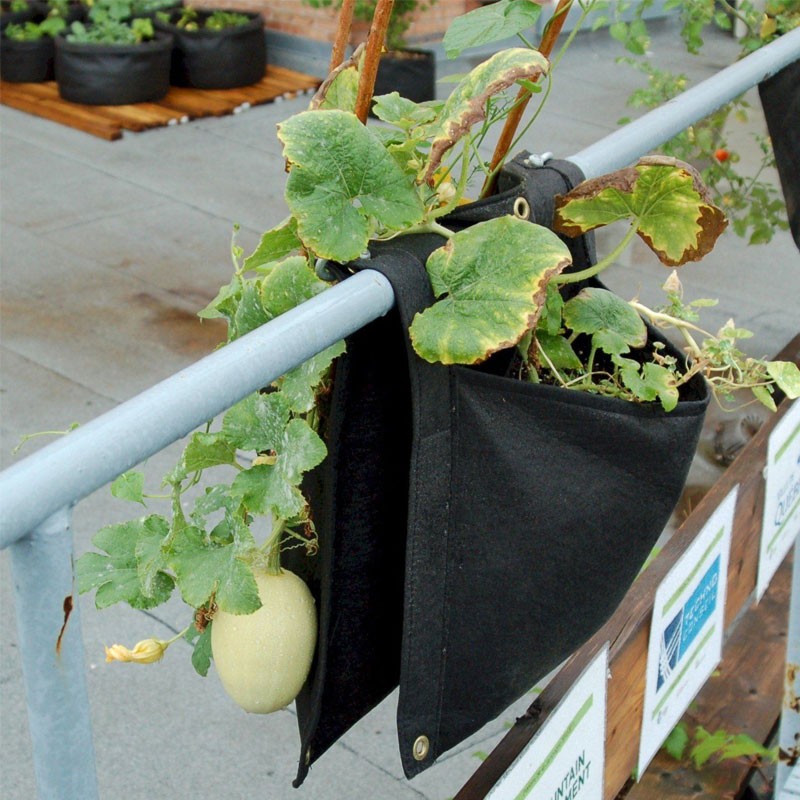 SMART POT MUUR BLOEM ZADEL