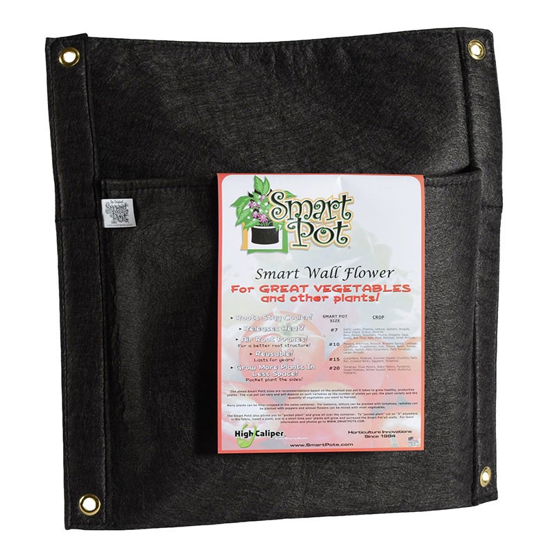 Smart Pot - Flor de pared - jardinera de pared