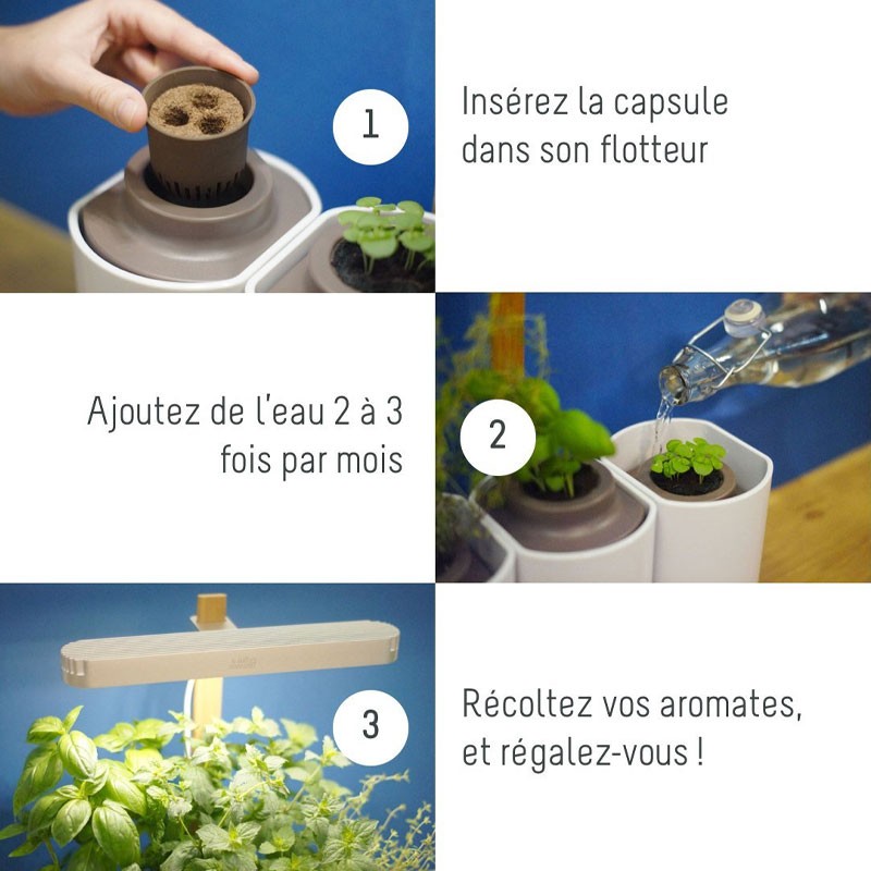 LILO JARDIN DINTERIEUR (BASILIC MENTHE CIBOULETTE)